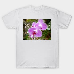 Lavender Orchid T-Shirt